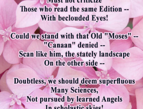 If the foolish, call them “flowers”