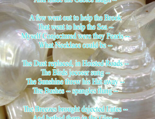 A Drop Fell On The Apple Tree