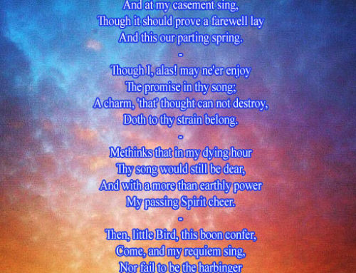 To A Redbreast (In Sickness)