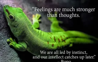 feelings are much stronger