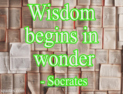 Wisdom begins in wonder