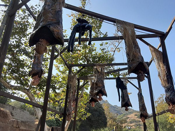 2019 Haunted Hay Ride 4