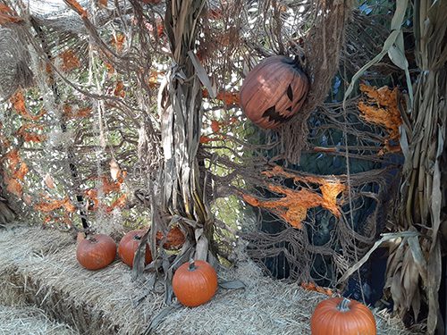 2019 Haunted Hay Ride 5