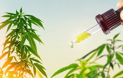 natural cbd oil for anxiety