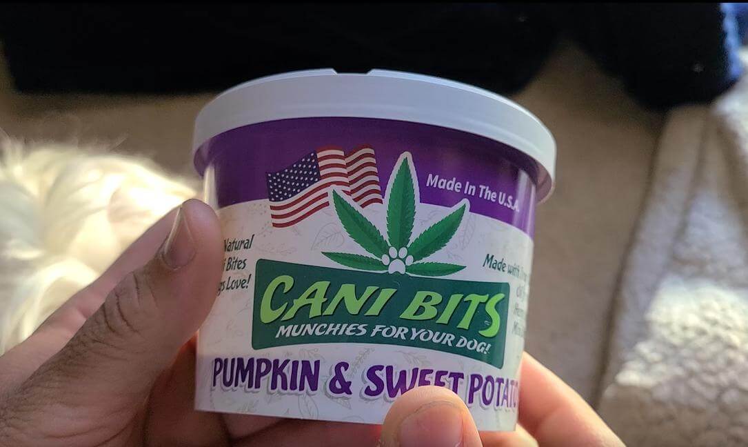 CBD I give to My Dog