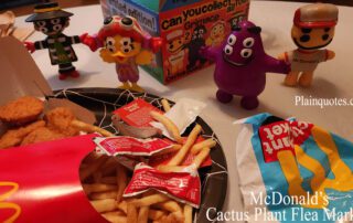 McDonalds Cactus Plant Flea Market