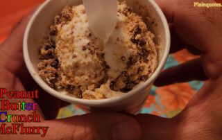 Peanut Butter Crunch McFlurry