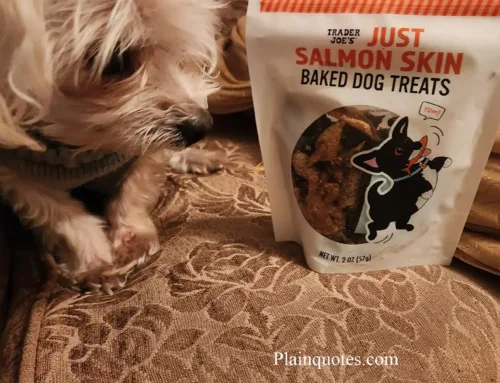 Trader Joe’s Salmon Skin for Dogs