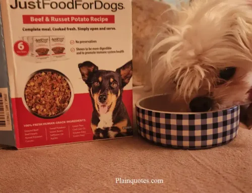 Just Food for Dogs