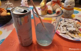 Red Bull The Coconut Edition