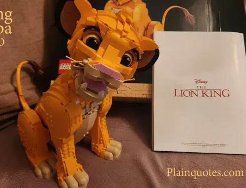 Simba Lego from The Lion King