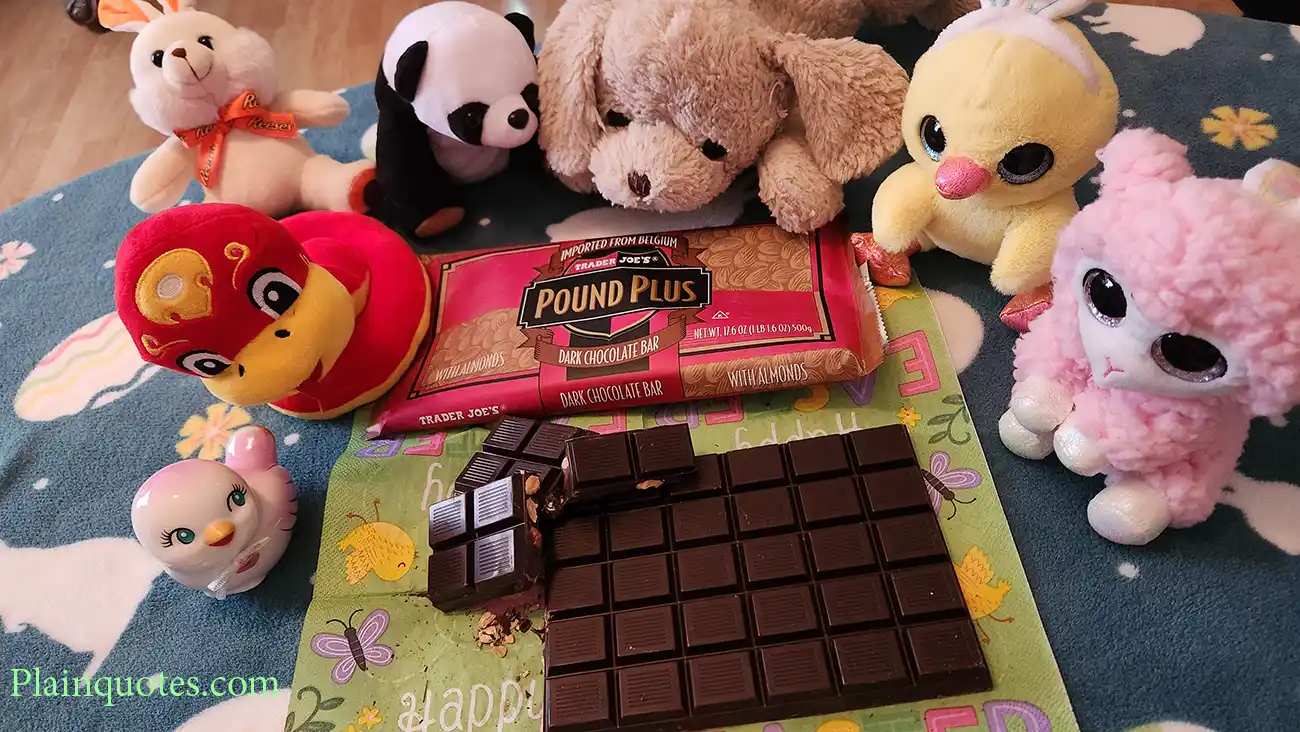 TRADER JOE'S Pound Plus Dark Chocolate Bar with Almonds