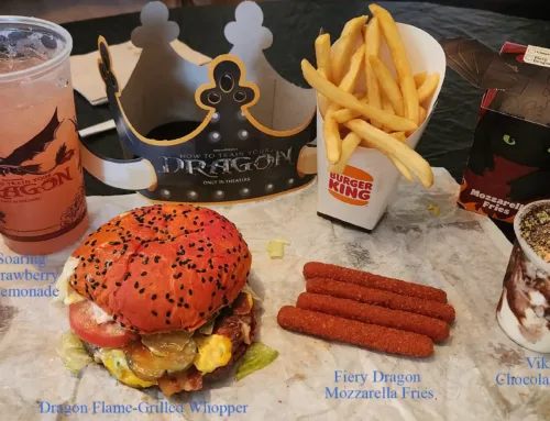 Burger King How to Train Your Dragon
