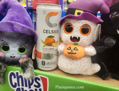 Celsius Fizz-Free Energy Drinks