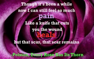 every Rose has Its Thorns