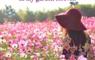 If I had a flower for ever time