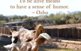 Life is not a tragedy