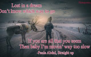 lost In A dream image