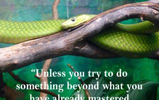 unless you try to do