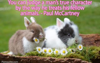 You can judge image.