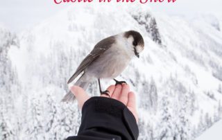 You're My Favorite image