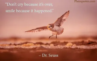 Don't cry because it's over