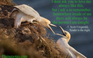 I don't ask you to love me