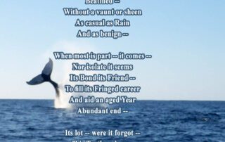 The Gentian has a parched Corolla Emily Dickinson