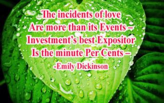 The Incidents Of Love