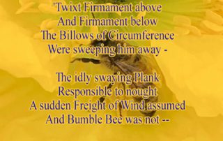 A Single Clover Plank poem