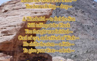 A Solemn thing within the Soul poem