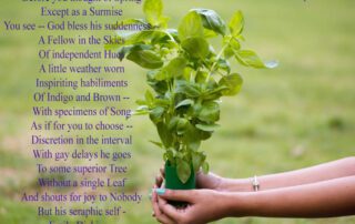 Before you thought of Spring