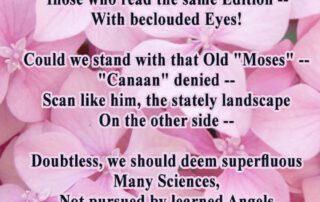 If the foolish call them flowers