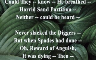 In falling Timbers buried