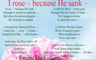 I rose because He sank