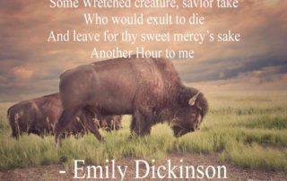 Some Wretched creature