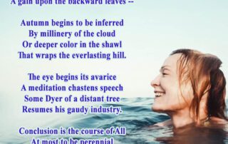 Summer begins to have the look