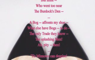 A Burdock -- clawed my Gown poem