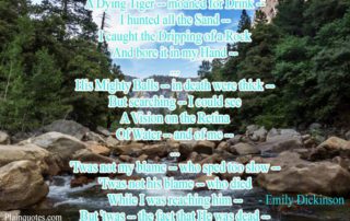 A Dying Tiger -- Moaned For Drink poem