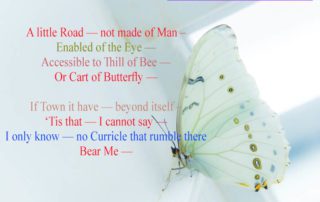 A little Road – not made of Man