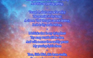 To A Redbreast In Sickness poem