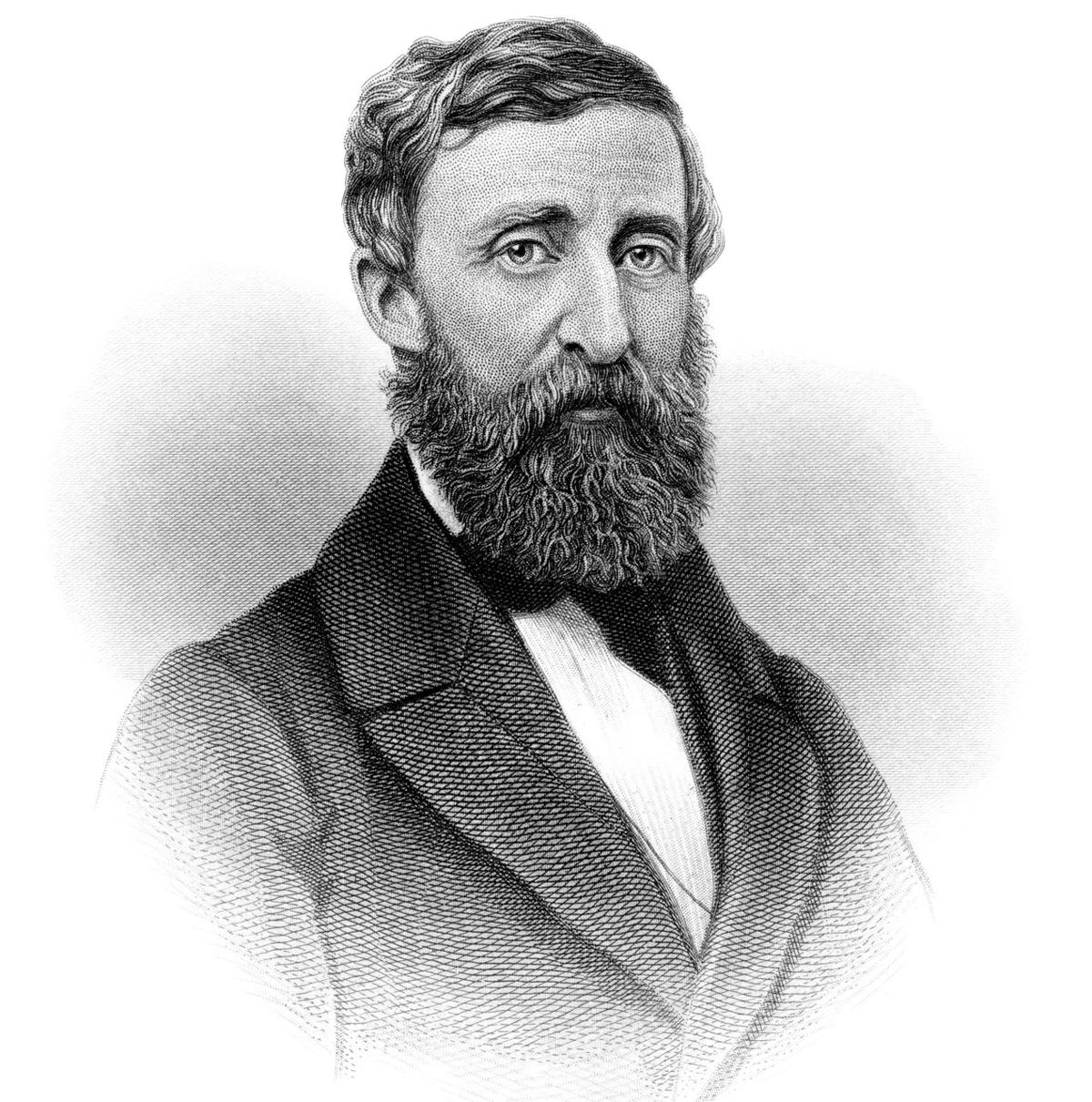 henry david thoreau image
