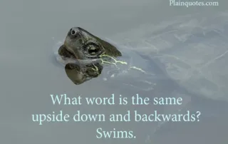 what word is the same upside down