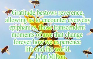 Gratitude bestows reverence
