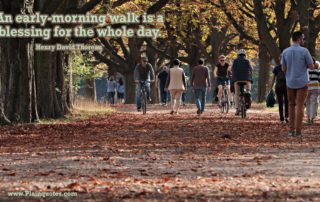 An early-morning walk