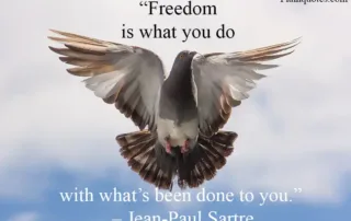 freedom is what you do