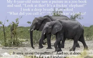 my 4 year old sister