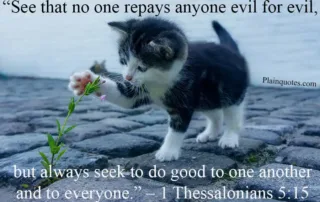 see that no one repays