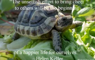 the unselfish effort