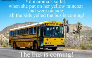 yo mammas so fat